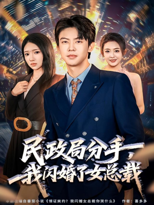 民政局分手，我闪婚了女总裁（72集）热门爆款短剧