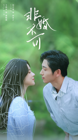 非婚不可(65集) 非婚不可(65集)全集一次看完