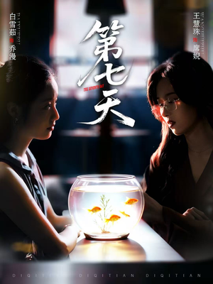 第七天（48集）百度网盘资源