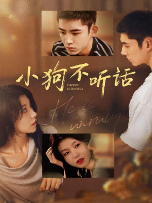 小狗不听话（70集）古装短剧热播