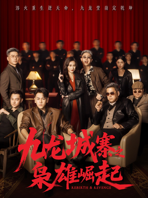 九龙局中局（71集）1-102集