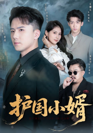 护国小婿(60集) 护国小婿(60集)古装热门短剧