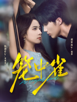 笼中雀(65集) 笼中雀(65集)分享好看的短剧