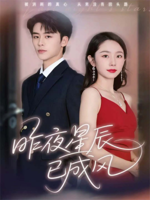 昨夜星辰已成风（75集）热门短剧分享