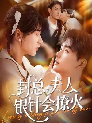 封总，夫人银针会撩火（69集）最新热门短剧