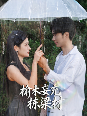 榆木妄充栋梁材(88集) 榆木妄充栋梁材(88集)一共多少集