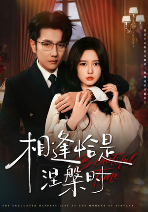 相逢恰是涅槃时（63集）精彩好看短剧