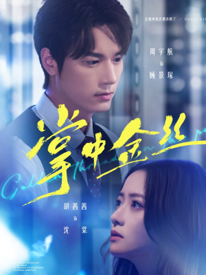 掌中金丝（60集）在哪个app能看