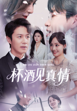 杯酒见真情（68集）红果短剧看全集