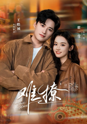 难撩(100集) 难撩(100集)看到了大结局