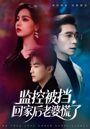 监控被挡，回家后老婆慌了（60集）好看吗