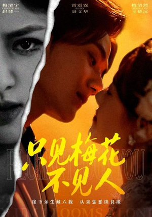 只见梅花不见人（63集）免费短剧合集