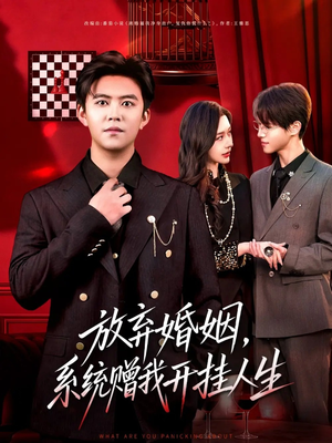 放弃婚姻，系统赠我开挂人生（60集）短剧小说在线看