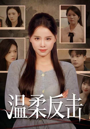 温柔反击(66集) 温柔反击(66集)在线播放