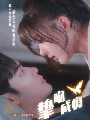 挚吻成瘾(65集) 挚吻成瘾(65集)全集一网打尽