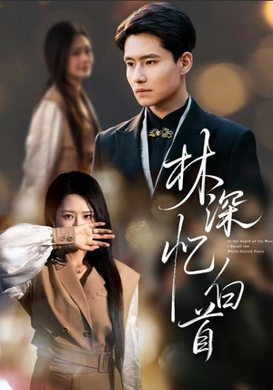林深忆白首(60集) 林深忆白首(60集)完整版