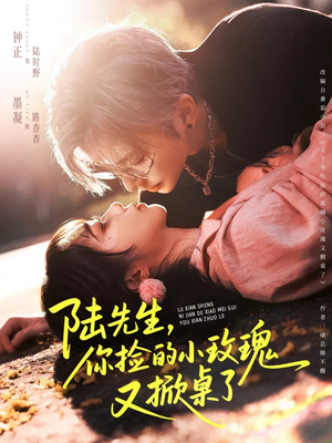 陆先生，你捡的小玫瑰又掀桌了（74集）短剧上头又好看