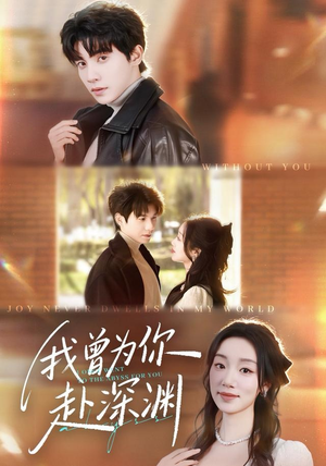 我曾为你赴深渊（63集）迅雷网盘观看