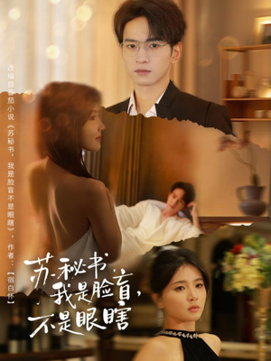 苏秘书我是脸盲不是眼瞎（80集）高清画质免费看