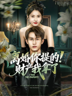 离婚你提的！财产我拿了（63集）无需会员免费看