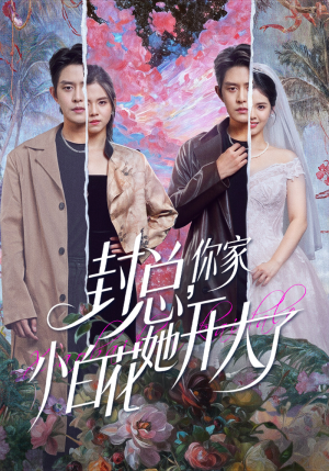 大佬你的牙粘口红了（60集）精彩短剧片段