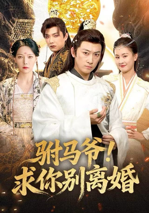 驸马爷!求你别离婚(80集) 驸马爷!求你别离婚(80集)独家资源免费看