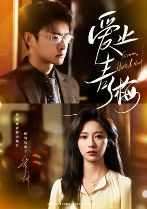 爱止青梅（60集）短剧追不停