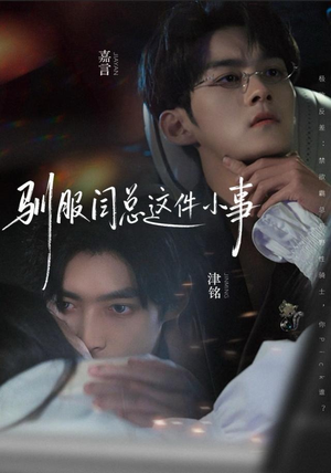 驯服闫总这件小事（58集）精彩短剧上线