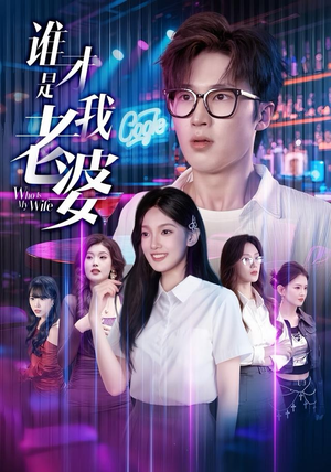 谁才是我老婆（78集）口碑之选免费看