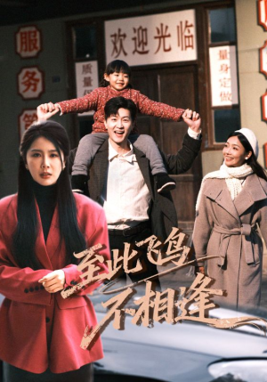 至此飞鸟不相逢（70集）短剧上热门