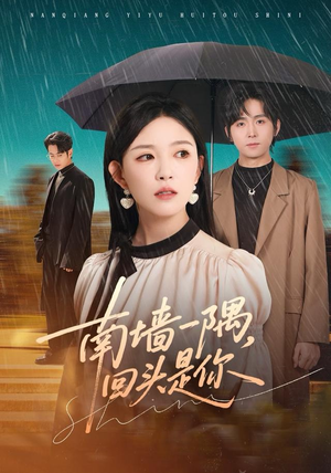 南墙一隅，回头是你（61集）免费短剧资源