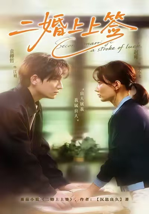 二婚上上签（71集）免费短剧合集