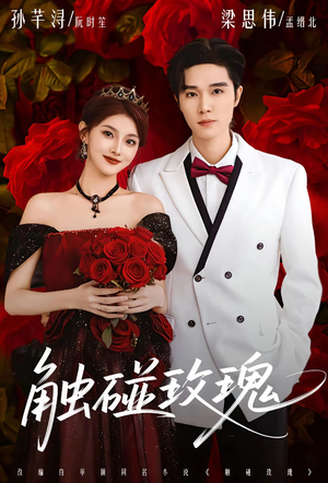 触碰玫瑰(80集) 触碰玫瑰(80集)最新上映免费看