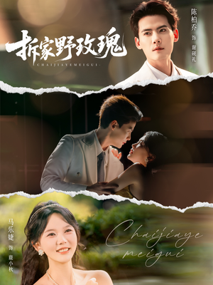 拆家野玫瑰（80集）全集下载