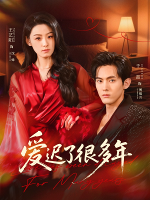 爱迟了很多年（73集）解说