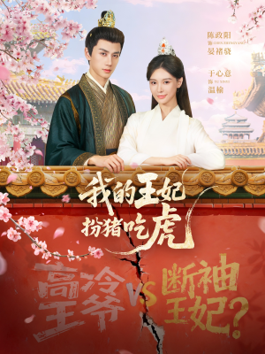 我的王妃扮猪吃虎(79集) 我的王妃扮猪吃虎(79集)观看软件