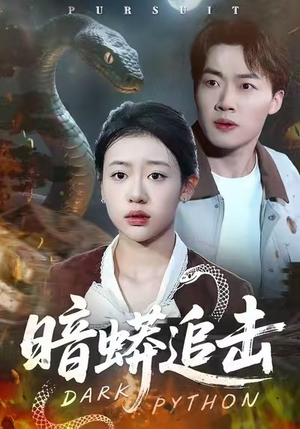暗蟒追击（35集）最热短剧抢先看
