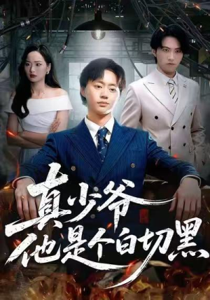真少爷他是个白切黑(75集) 真少爷他是个白切黑(75集)超好看古装短剧
