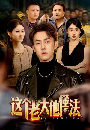 这个老大他懂法(100集) 这个老大他懂法(100集)免费短剧资源