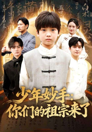 少年妙手你们的祖宗来了(78集) 少年妙手你们的祖宗来了(78集)快来看短剧