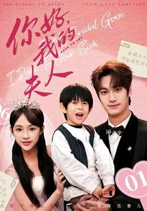 你好，我的夫人（65集）短剧太精彩