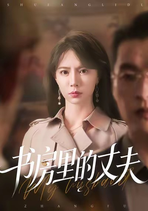 书房里的丈夫（100集）男主角是谁