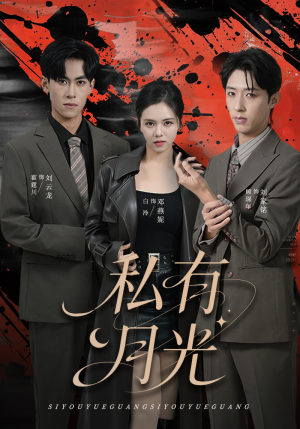 私有月光（78集）真的好看吗