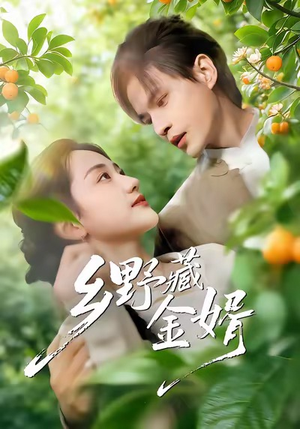 乡野藏金婿（50集）在线看