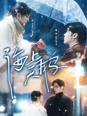 海上天鹅（70集）火爆短剧来袭