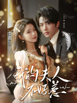 我的夫人不好惹（60集）免费短剧全集看