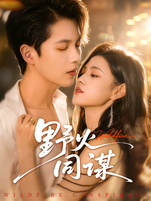 野火同谋（66集）全集