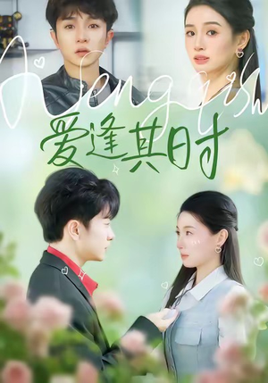 爱逢其时（47集）在线看