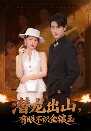 潜龙出山有眼不识金镶玉（78集）最新热剧免费看