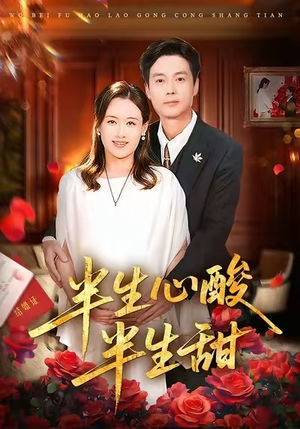 半生心酸半生甜（70集）精彩的网络短剧